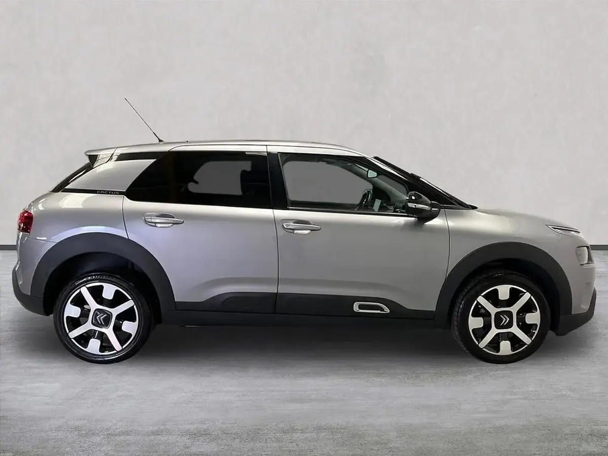 Used Citroën C4 Cactus Flair 110 HP (80 kW) 2019 Grey Hatchback