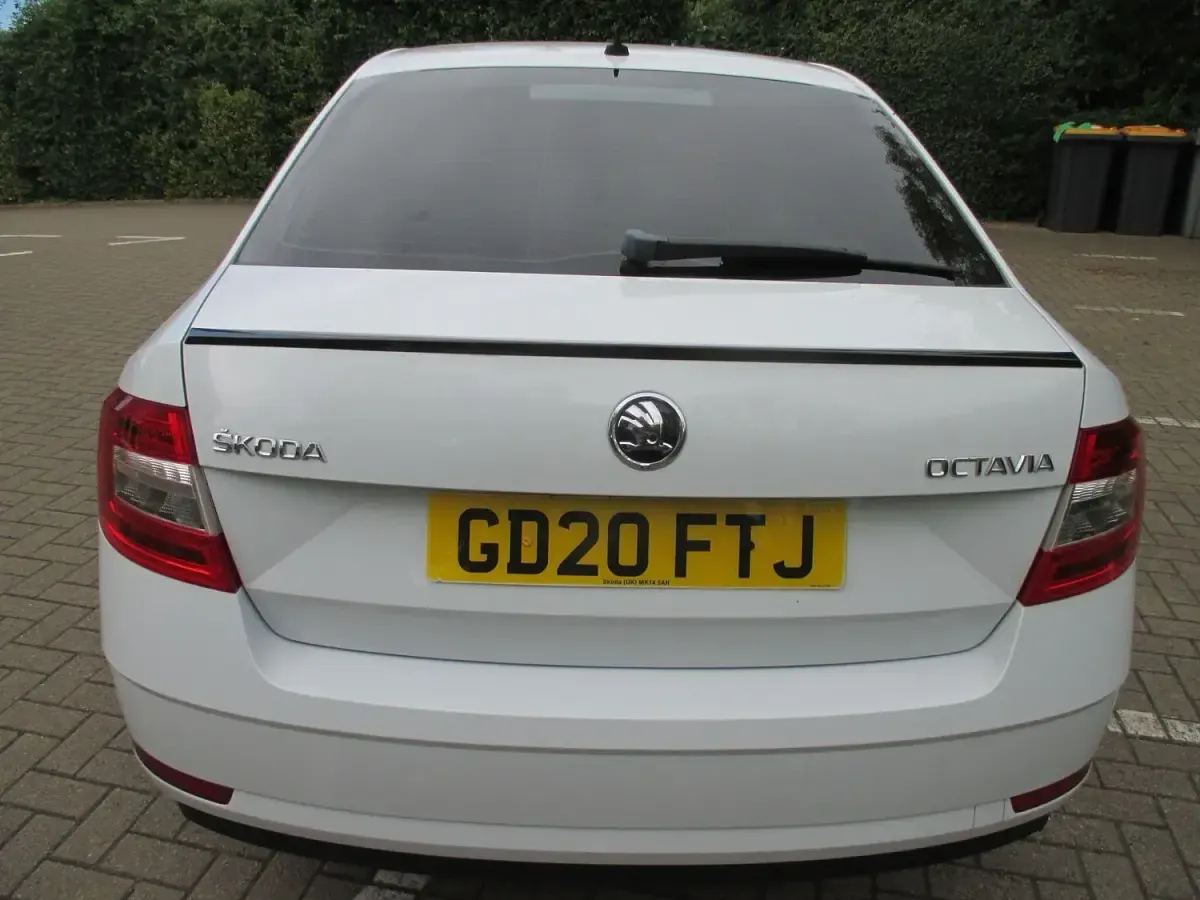 Used Skoda Octavia SE Drive 150 HP (110 kW) 2020 White Hatchback