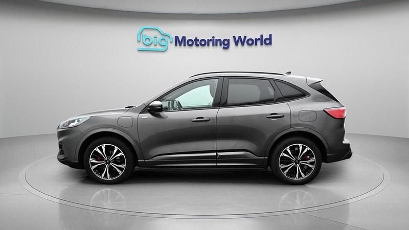 Used Ford Kuga ST-Line X 225 HP (165 kW) 2023 Grey SUV