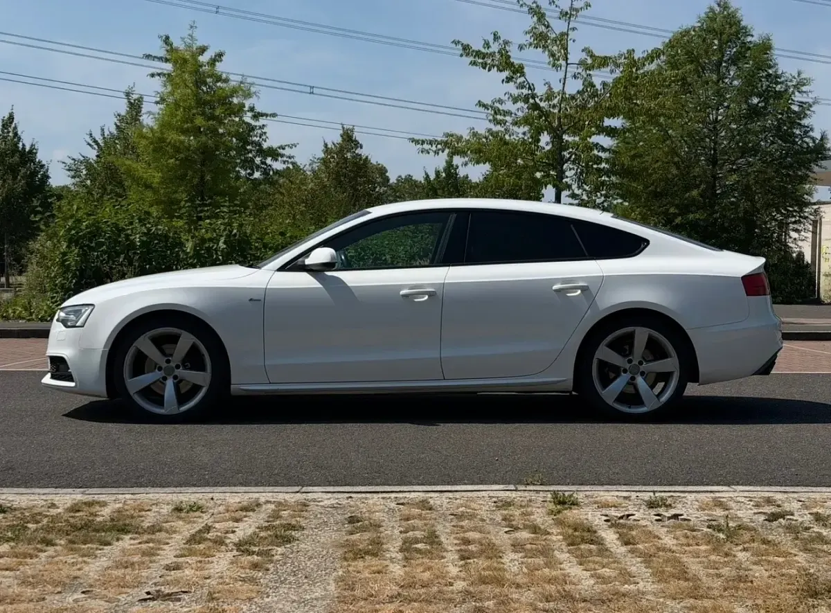 Used Audi A5 Black Edition 225 HP (165 kW) 2014 White Coupe