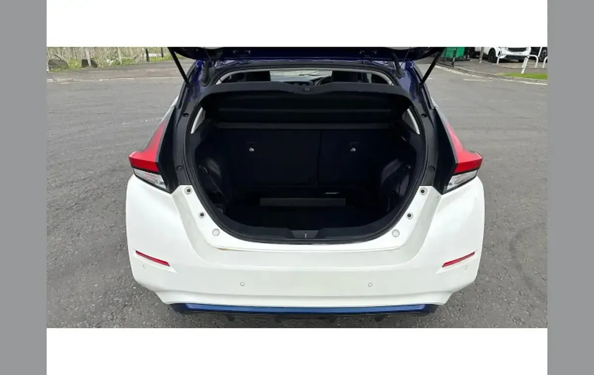 Used Nissan Leaf 160 kW (218 HP) 2020 White Hatchback