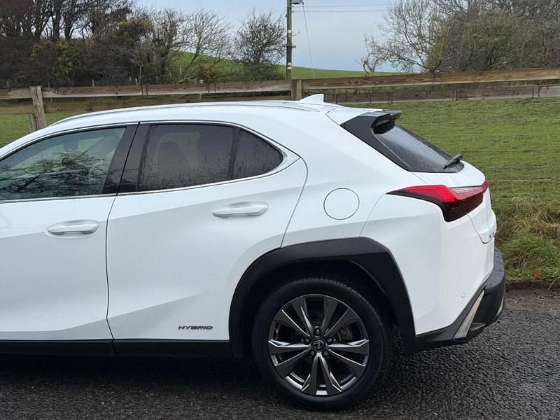 Used Lexus UX 250h Sport Line 2019 White SUV