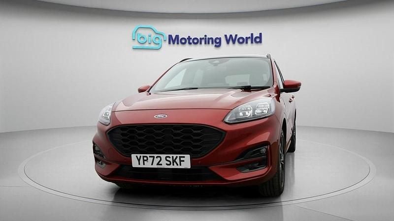 Used Ford Kuga ST-Line X 225 HP (165 kW) 2022 Red SUV