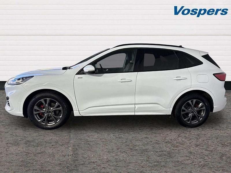 Used Ford Kuga ST-Line 150 HP (110 kW) 2023 White SUV