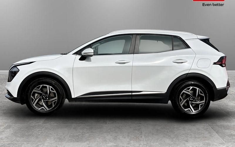 Used Kia Sportage 159 HP (116 kW) 2024 SUV