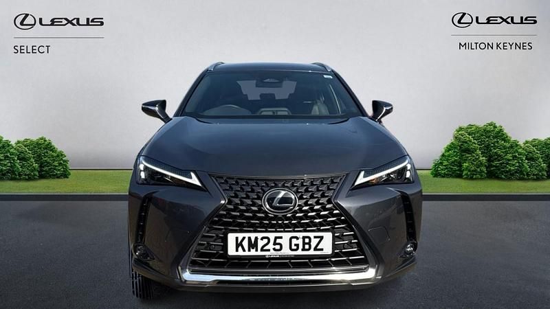 Used Lexus UX 300h 2025 Grey SUV