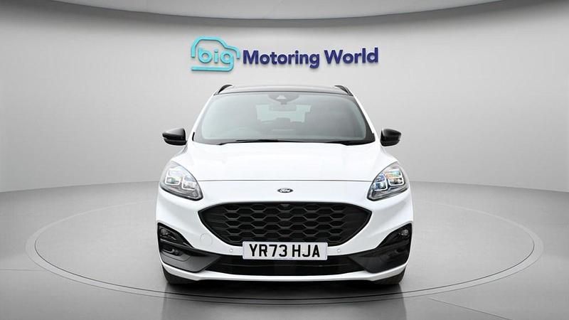 Used Ford Kuga S 190 HP (139 kW) 2023 White SUV
