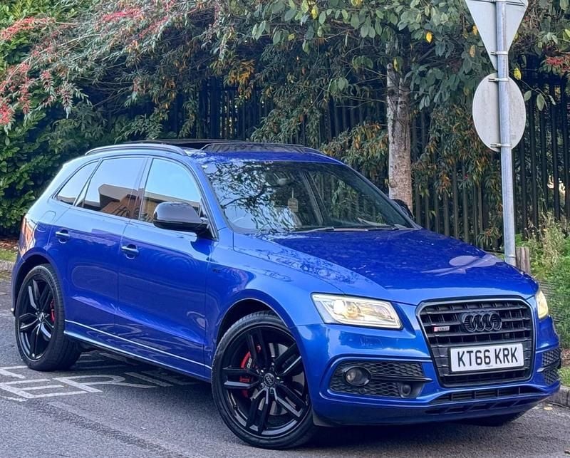 Used Audi SQ5 Basis 2016 Blue SUV