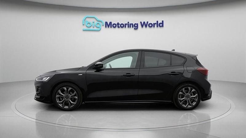 Used Ford Focus ST-Line 125 HP (91 kW) 2024 Black Hatchback