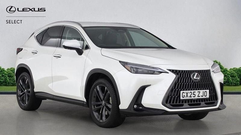 Used Lexus NX450h+ 2025 White SUV