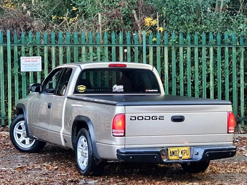 Used Dodge Dakota 2004 Gold Pickup