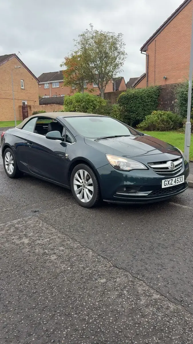 Used Vauxhall Cascada Elite 170 HP (125 kW) 2014 Green Cabriolet