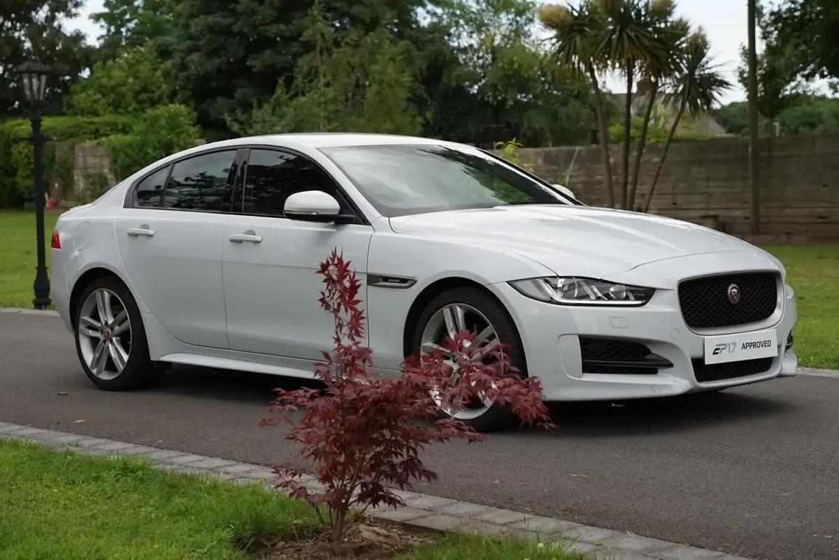 Used Jaguar XE R-Sport 200 HP (147 kW) 2019 White Sedan