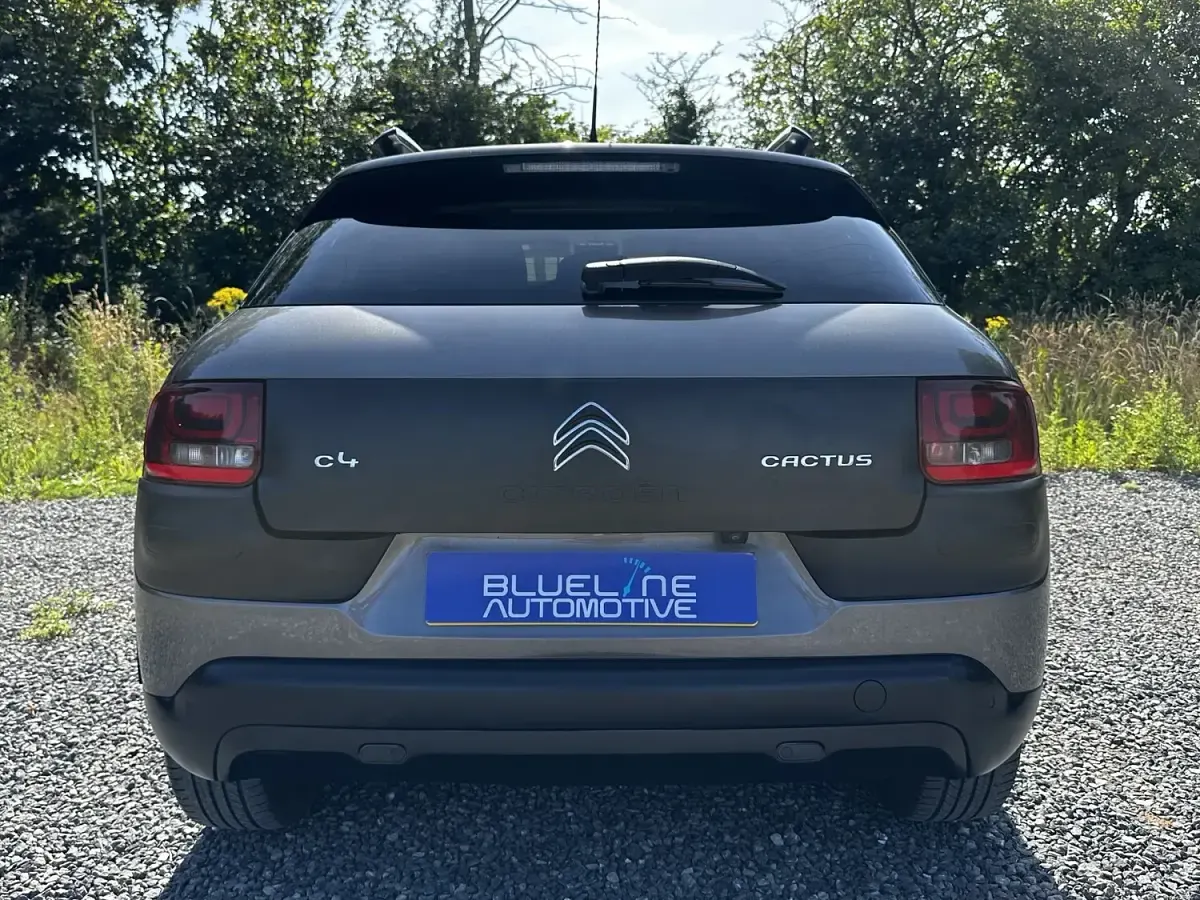 Used Citroën C4 Cactus Flair 2017 Grey Hatchback