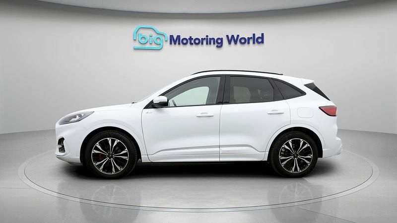 Used Ford Kuga ST-Line X 188 HP (138 kW) 2023 SUV