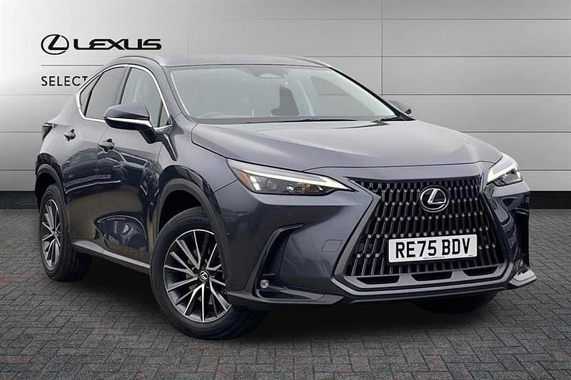 Used Lexus NX350h 243 HP (178 kW) 2025 Grey SUV