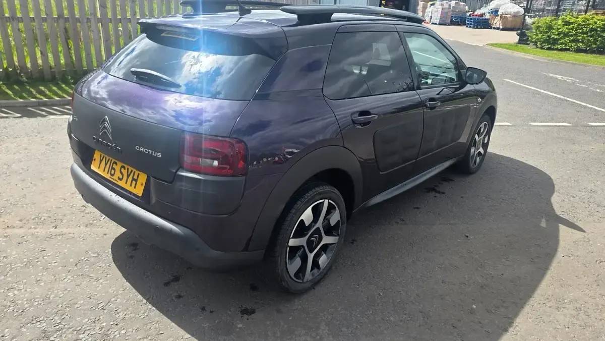 Used Citroën C4 Cactus Flair 2016 Purple Hatchback