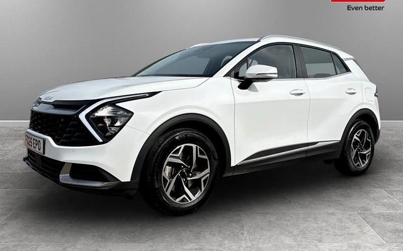 Used Kia Sportage 159 HP (116 kW) 2024 SUV