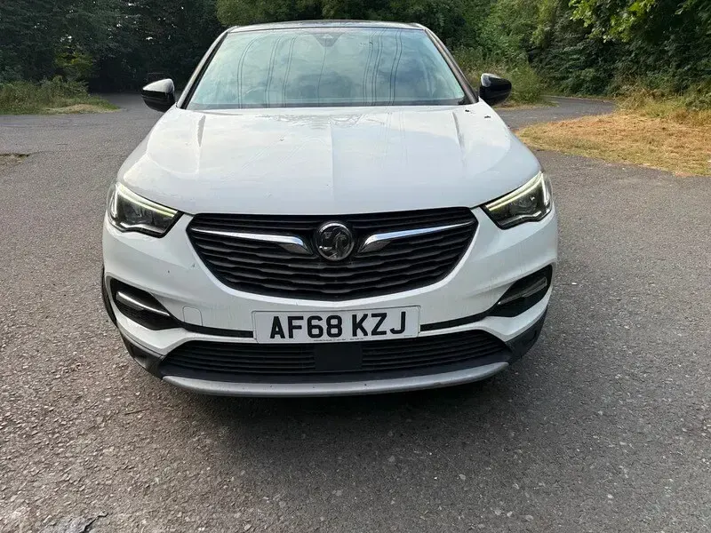 Used Vauxhall Grandland X Elite 130 HP (95 kW) 2018 White SUV