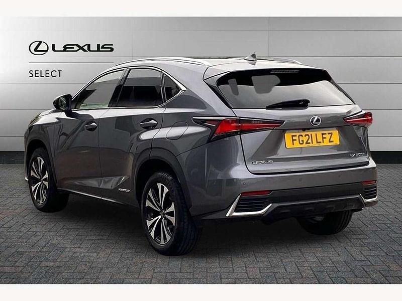 Used Lexus NX300h Sport Line 197 HP (144 kW) 2021 Grey SUV