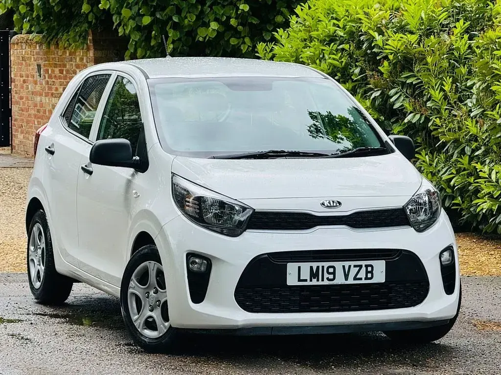 Used Kia Picanto 66 HP (48 kW) 2019 White Hatchback