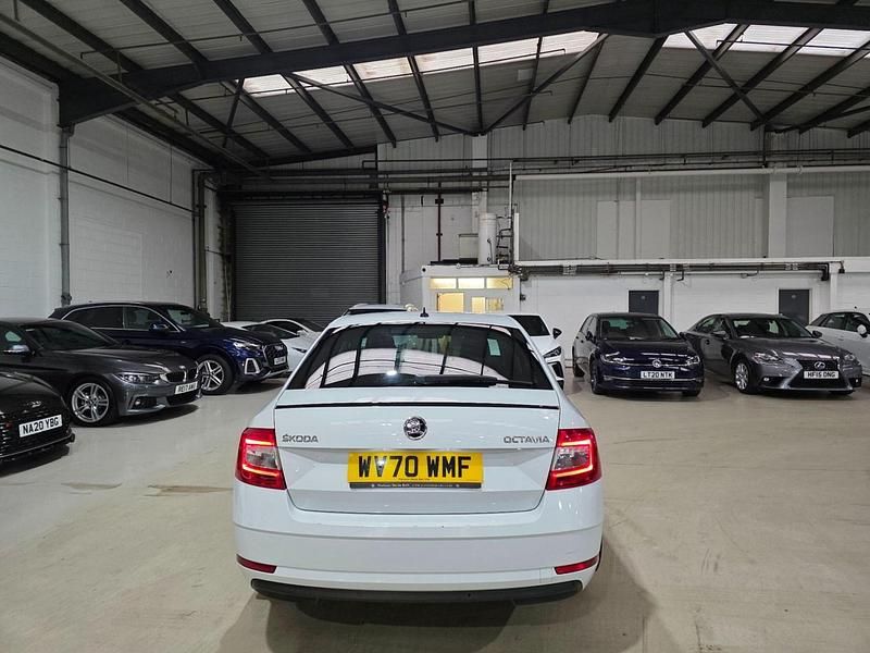 Used Skoda Octavia SE L 150 HP (110 kW) 2020 White Hatchback