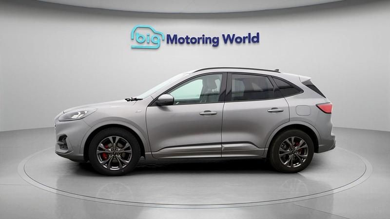 Used Ford Kuga ST-Line 150 HP (110 kW) 2022 Silver SUV
