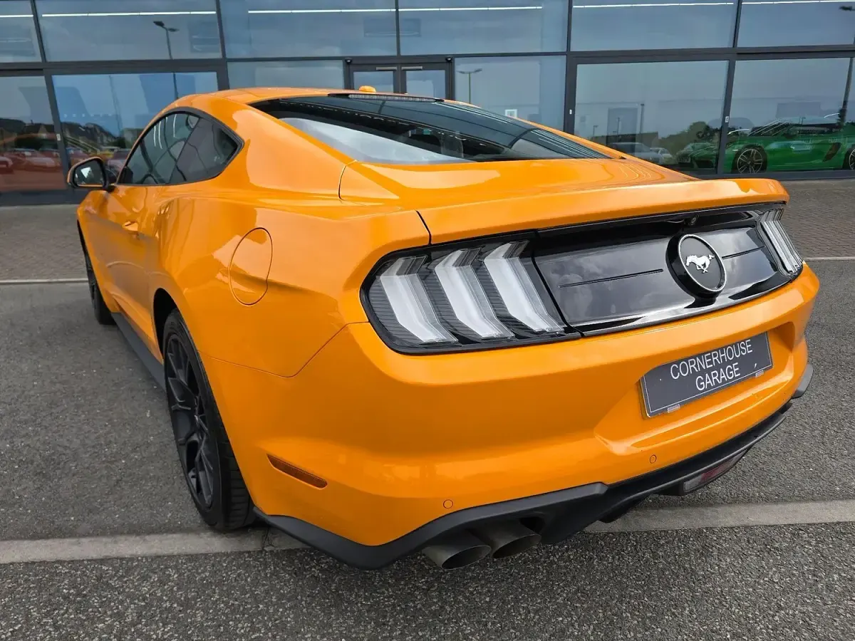 Used Ford Mustang Fastback 2019 Orange Coupe