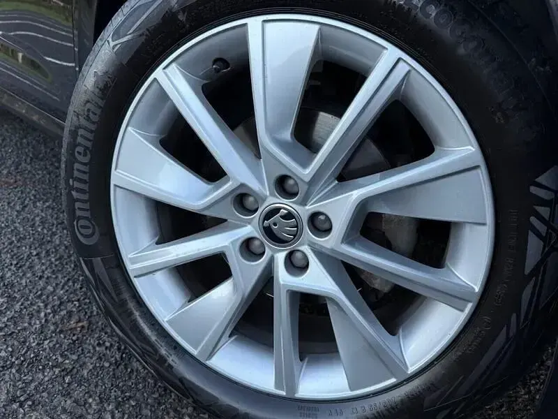 Gebraucht Skoda Kamiq SE L 115 PS (84 kW) 2020 Weiß SUV