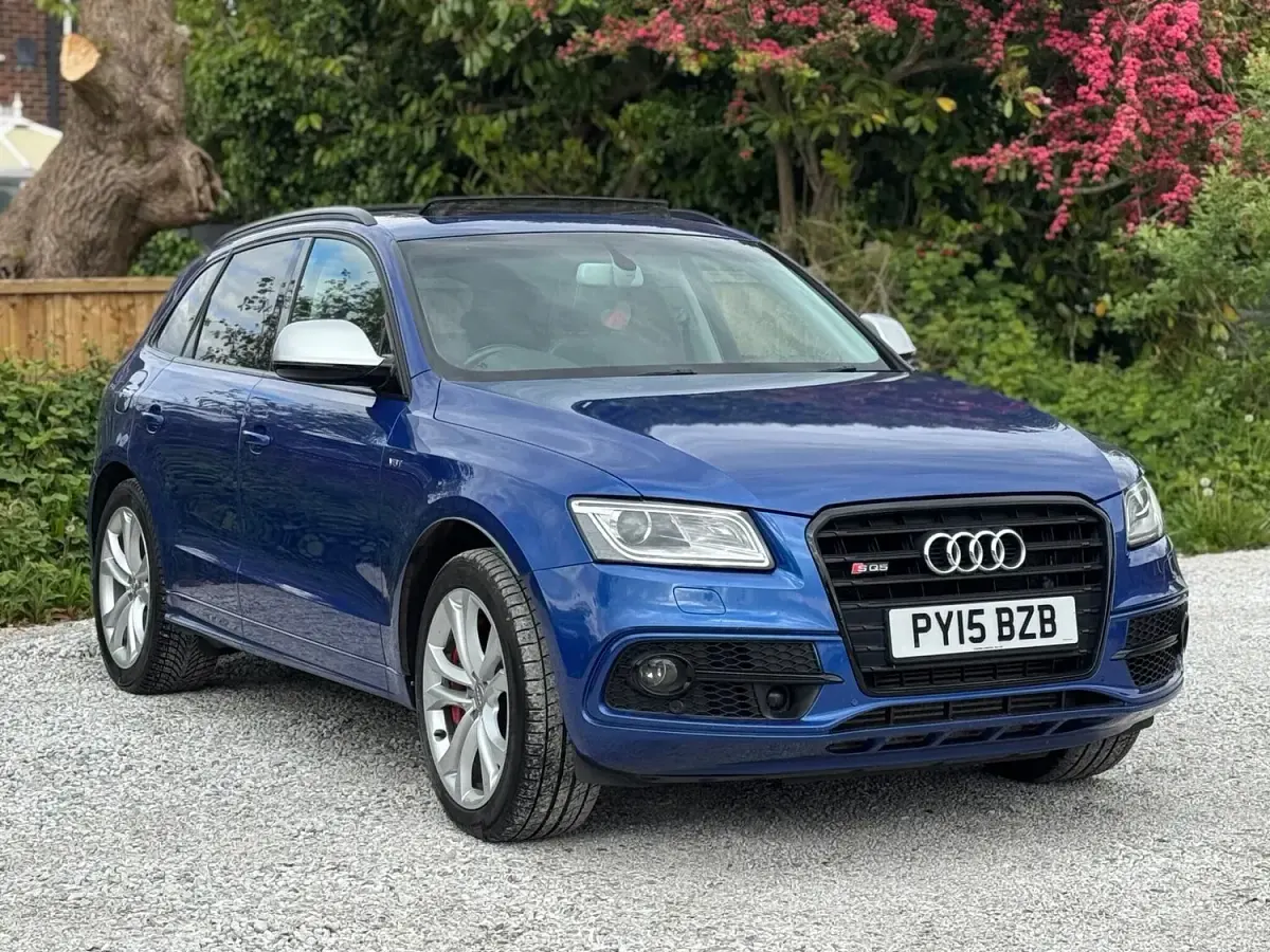 Used Audi SQ5 Design 2015 Blue SUV