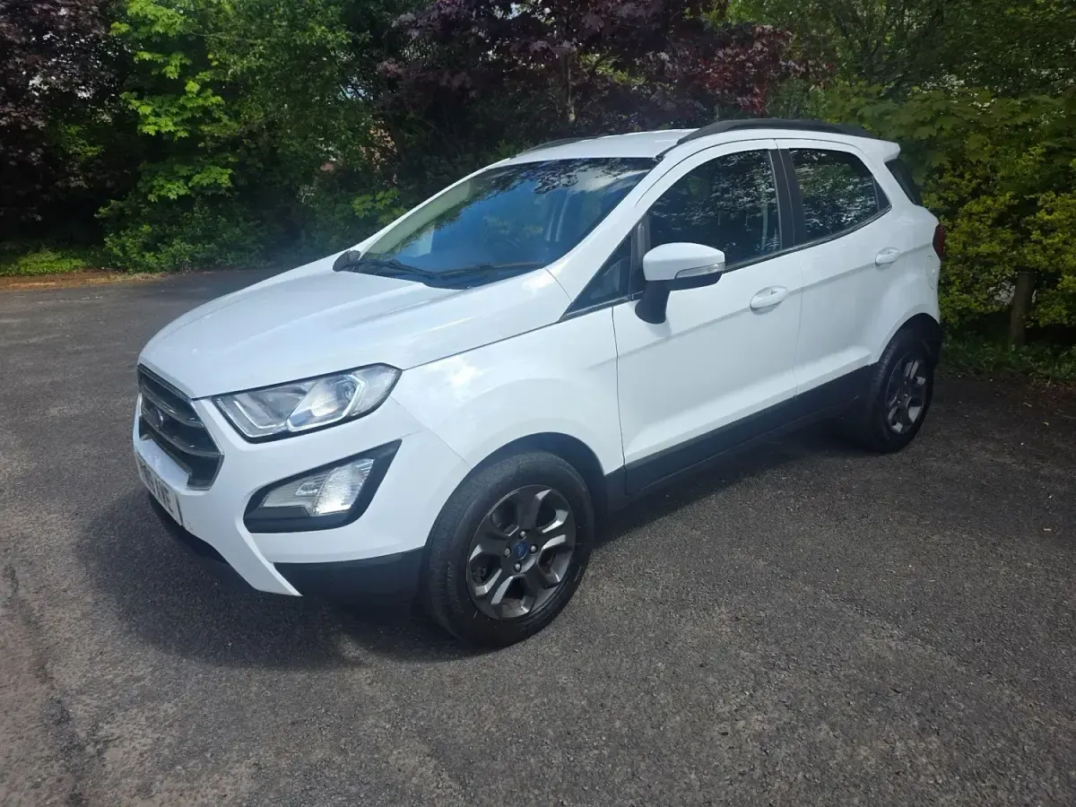 Second-hand Ford Ecosport Zetec 100 CP (73 kW) 2019 Alb SUV