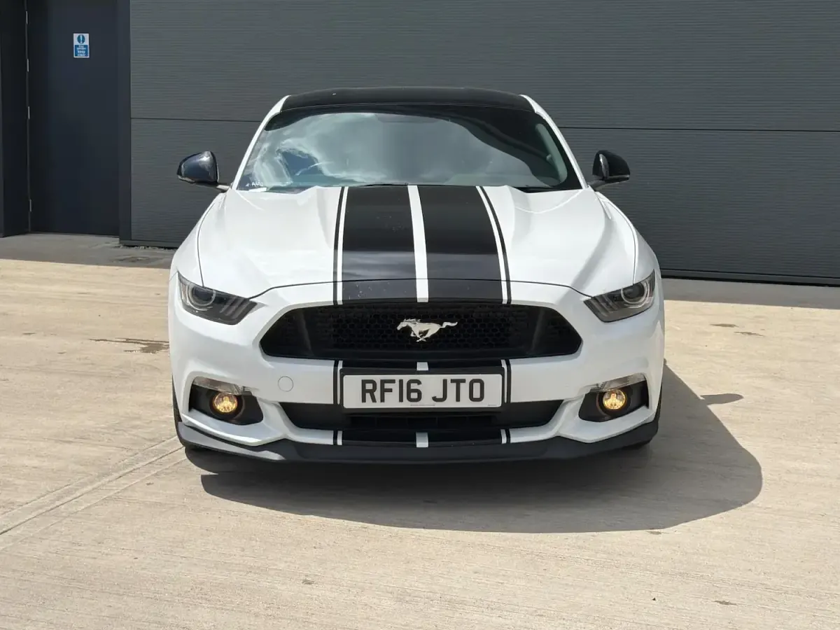 Used Ford Mustang GT Fastback 2016 White Coupe