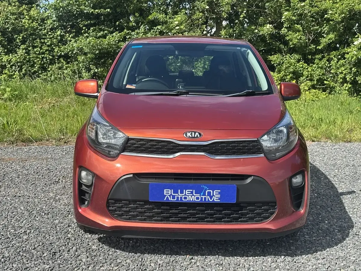 Used Kia Picanto 83 HP (61 kW) 2018 Orange Hatchback