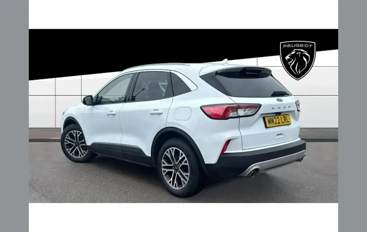 Used Ford Kuga Titanium 120 HP (88 kW) 2022 White SUV