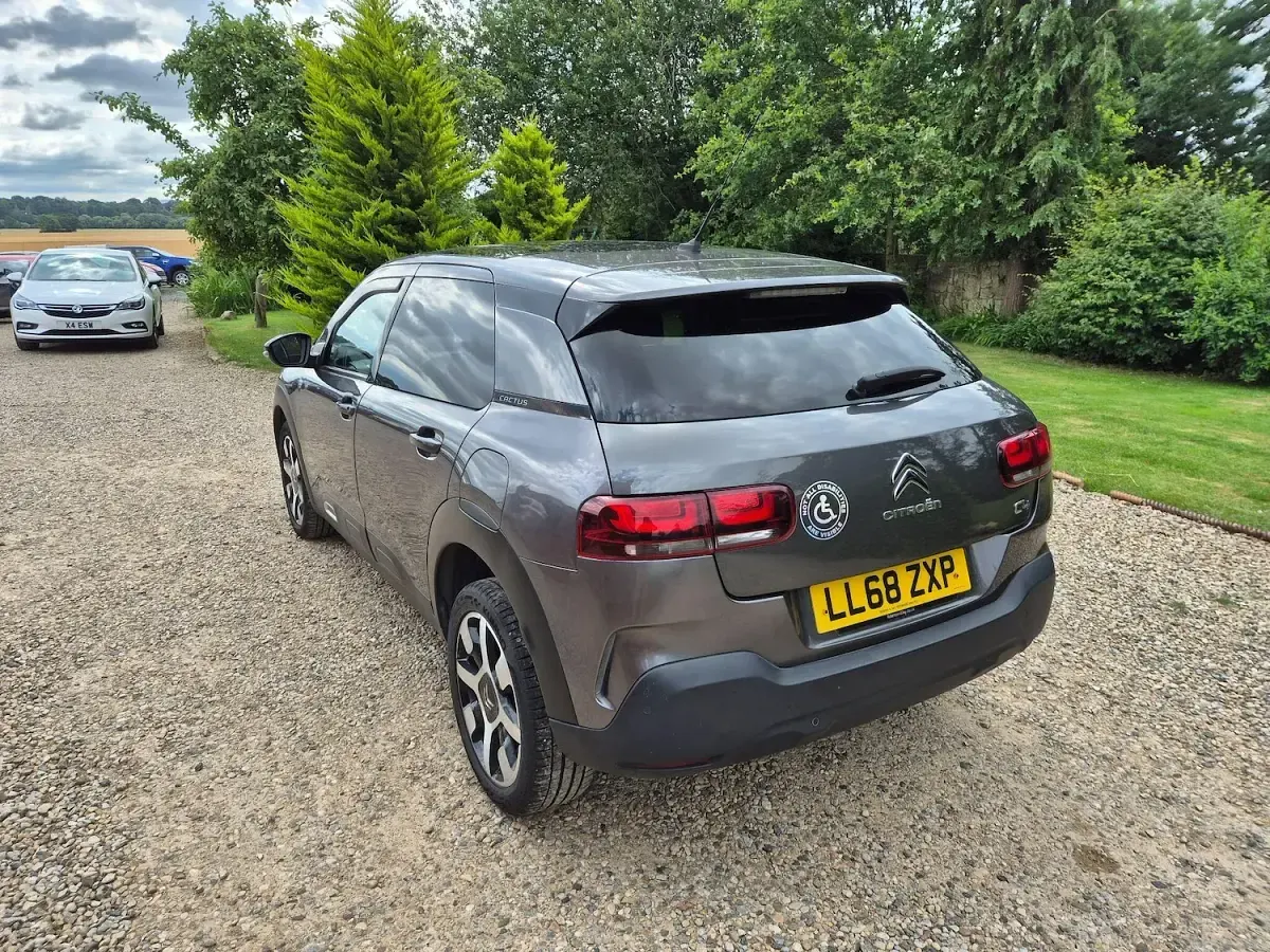 Used Citroën C4 Cactus Flair 2019 Grey Hatchback