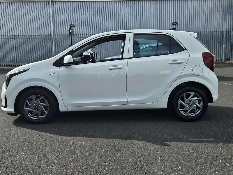Used Kia Picanto 2024 White Hatchback