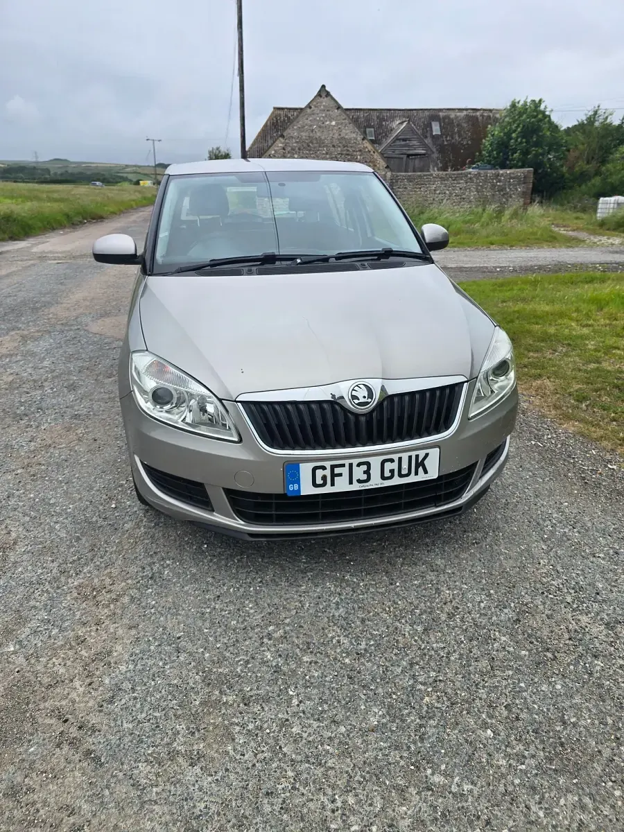 Used Skoda Fabia SE 2013 Beige Hatchback