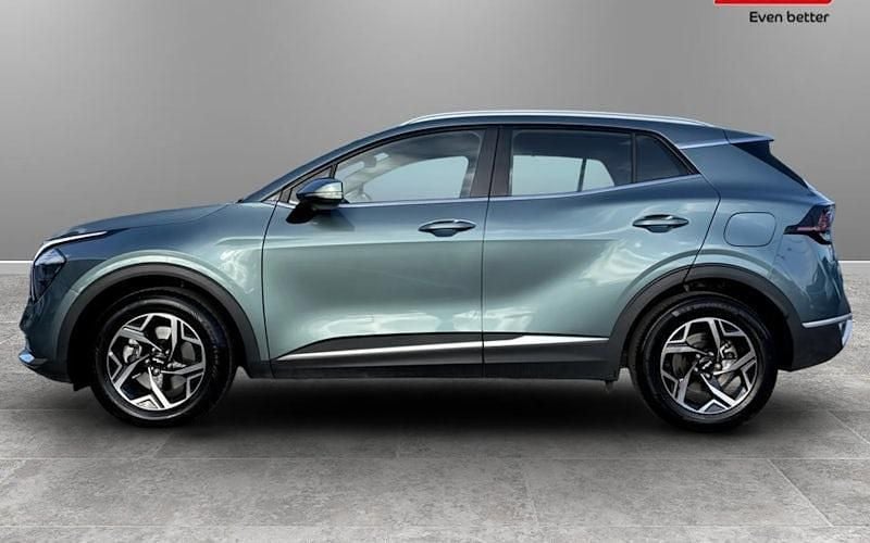 Used Kia Sportage 159 HP (116 kW) 2024 SUV