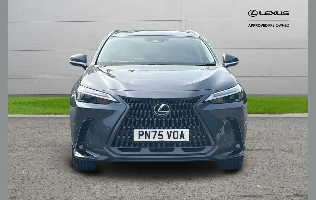 Used Lexus NX350h 240 HP (176 kW) 2025 Grey SUV