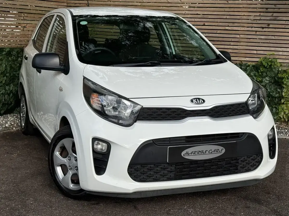 Used Kia Picanto 66 HP (48 kW) 2018 White Hatchback