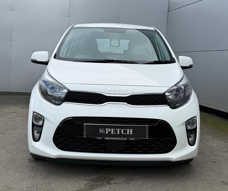 Used Kia Picanto 66 HP (48 kW) 2023 White Hatchback