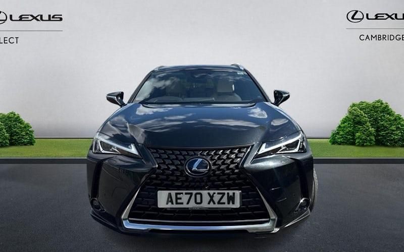 Used Lexus UX 250h 184 HP (135 kW) 2024 SUV