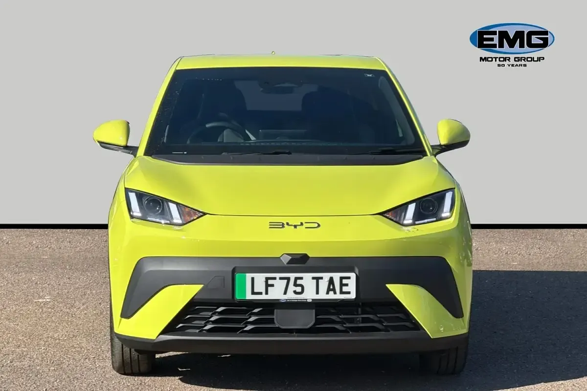 Nuevo BYD Dolphin Boost 64 kW (88 CV) 2026 Verde Utilitario