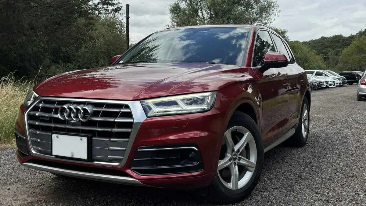 Used Audi Q5 Sport 2019 Maroon SUV