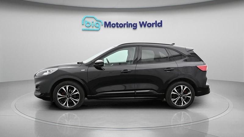 Used Ford Kuga ST-Line X 190 HP (139 kW) 2022 Black SUV