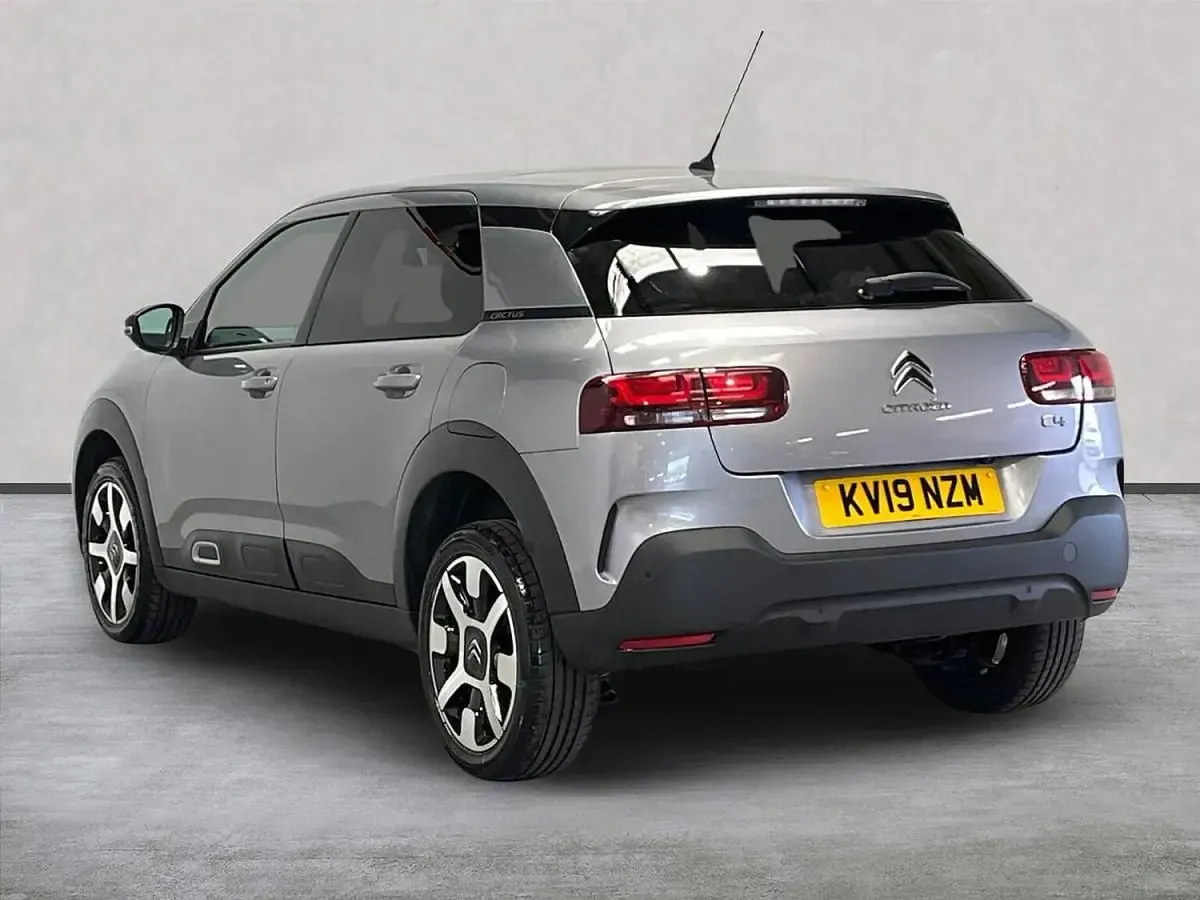 Used Citroën C4 Cactus Flair 110 HP (80 kW) 2019 Grey Hatchback