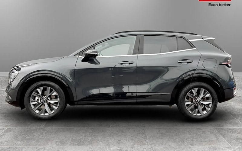 Used Kia Sportage GT-Line S 209 HP (153 kW) 2024 SUV