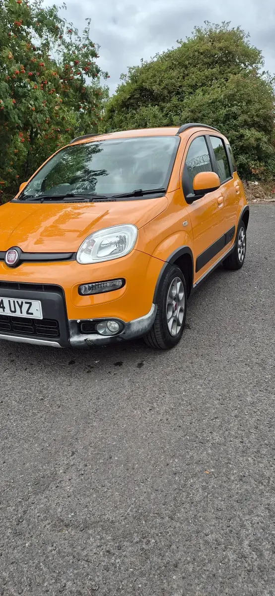 Used Fiat Panda 4x4 85 HP (62 kW) 2014 Orange Hatchback