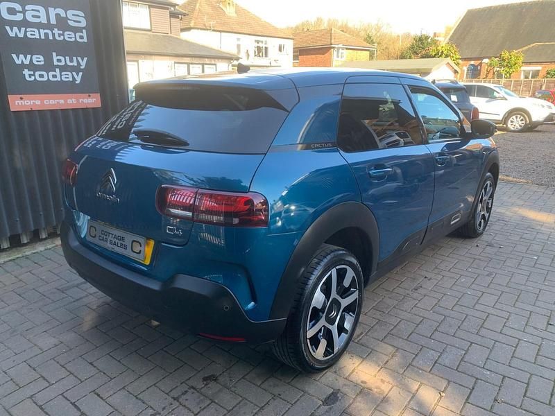 Used Citroën C4 Cactus Flair 110 HP (80 kW) 2019 Blue Hatchback