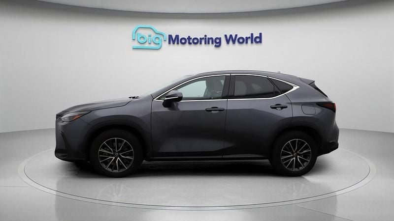Used Lexus NX450h+ 2022 Grey SUV